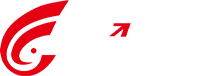铂莱国际(中国)科技股份有限公司网站
